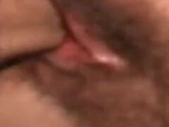 Europäisch, Brille, Behaart, Italienisch, Im freien