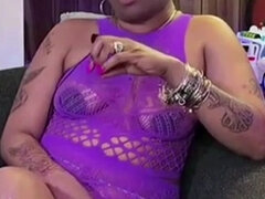 Amerikansk, Svart, Kort hår