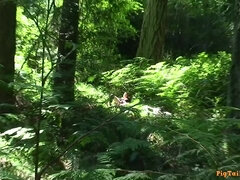 Trying Anal Hardcore With My Younger Stepbrother In The Woods
