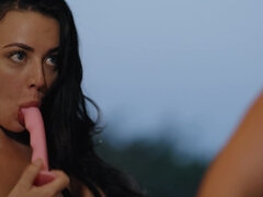 Chicks take sex toys and use them as intended regarding the cunts