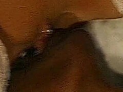 Veľké péro, Gangbang