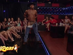 Kompilace, Tanec, Na pejska, Hardcore, Hd, Mezirasové, Kuřba sání, Kozičky