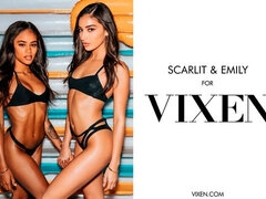 Zadok, Čierne, Kuřba, Brunetka, Honění, Medzirasové, Teenka, Švédska rojka