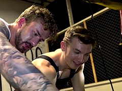 Anal, Lamer culo, Gay, Peludo, Sexo duro, Maduro, Pov, Adolescente