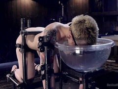 Sadomasochismus, Fesselspiele, Domination, Fingern, Erniedrigung, Schmerz, Bestrafung, Schlampe