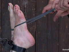Bondage disciplin sadomasochisme, Trældom, Dominerende, Give finger, Ydmidelse, Naturlige bryster, Straf