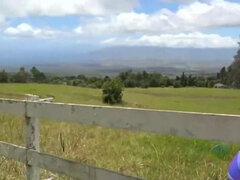 Amatør, Brunette, Bil, Hd, Barbert, Tattovering, Pupper