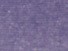 Enthousiasteling, Fetisj, Harig, Masturbatie, Alleen