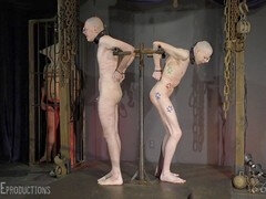 Bondage disciplina dominação submissão sadismo e masoquismo, Bondagebeldade, Dominação, Gay bicha veado, Palmada