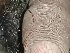 18 jahre, Behaart, Selbstgemacht, Indisch, Solo, Jungendliche (18+)