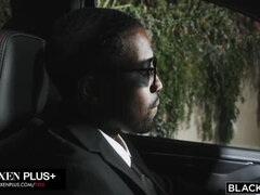 Stor kukk, Store pupper, Blond, Pikk, Bakfra, Gruppe, Hd, Raseblandet