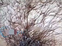 Asiatique, Gros seins, Chinoise, Mère que j'aimerais baiser, Pov