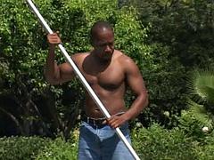 Anális szex, Fekete, Szőke, Ondó fröcskölés, Ébenfekete, Kőkemény, Fajok közötti, Szajha