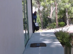 Monumentális dákó, Édes, Kutya póz, Arcra élvezés, Fétis, Fajok közötti, Tini, Begyek