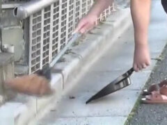 Asiatique, Belle grosse femme bgf, Japonaise