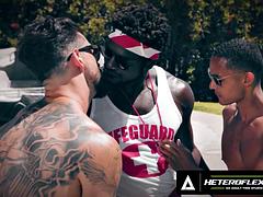 Anál, Kuřba, Přichyceni, Roztomilá, Prstění, Gay, Honění, Jezdectví