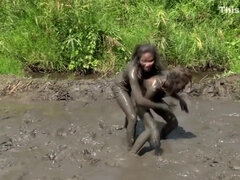 Kauniit, Klassinen, Kyrpä, Hd, Lesbo, Nännit, Pillu, Tissit