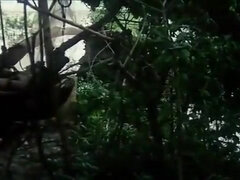 Красивые, Минет, Грудастые, Классика, Смазливые, Глубокая глотка, На природе, Киски