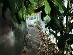 Anál, Zadek, Kuřba, Hardcore, Různé pohledy, Na veřejnosti, Pička, Teenka