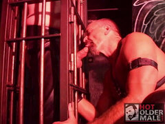 Kont, Pijpbeurt, Daddy, Fetisj, Hardcore, Oud