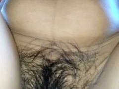 Peludo, Latina