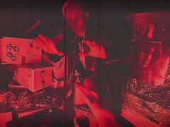 Iso kulli, Eurooppalainen, Ranskalainen, Homo, Rankka, Pissata, Vuosikerta