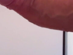 Kukk suging, Europeisk, Homofil