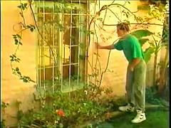 Gros seins, Sucer une bite, Nénés