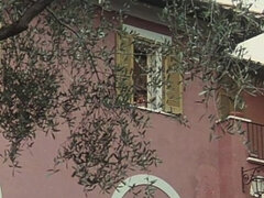 Anal, Verga grande, Mamada, Morena, Pareja, Europeo, Corridas faciales, Clasico