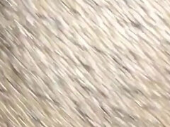 Ερασιτέχνης, Αμερικάνος, Πρωκτικό, Μαύρος, Χοντρούλα, Ζευγάρι, Διαφυλετικό, Σκλάβος