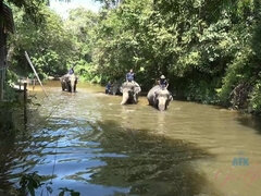 Amatør, Rumpe, Kukk suging, Bløtkake, Fotjobb, Kjæreste, Barbert, Pupper