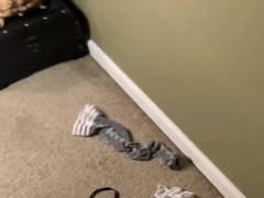 Amaterji, Ameriški, Hd, Zrela, Hlačke