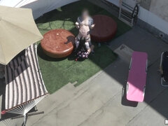 Sucer une bite, Brunette brune, Hd, Pov, Chatte, Chevaucher