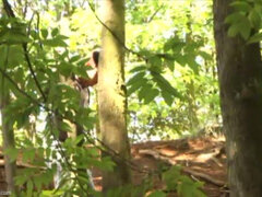 Sneaky Wank for Horny Twink