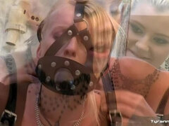 Bdsm, Blondin, Påklädda, Dominans, Hardcore, Älskarinna, Fitta, Stockings