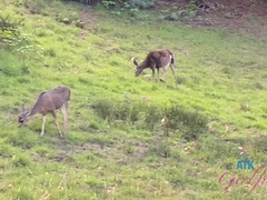 Amatéri, Veľký zadok, Blondína, Priateľka, Drobunké, Pička, Vyholené, Kozičky