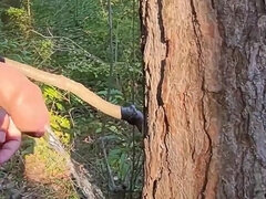 On a Walk in the Forest, Long Pissing Under a Tree