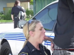 Blond, Kukk suging, Brunette, Pikk, Hardcore, Raseblandet, Milf, Trekant