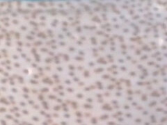 Iso kaunis nainen, Korkokengät, Kotitekoinen, Vanhempi, Pikkarit, Soolo