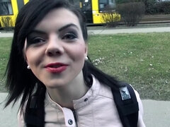 Brunetka, Wielorasowy, Mamuśka, Ogolona