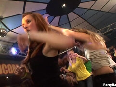 Mamada, Corridas, Checa, Polla, Grupo, Orgía