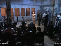 Store pupper, Pikk, Gruppe, Hd, Tenåring, Pupper