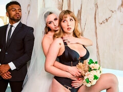 Amatőr, Monumentális dákó, Tekintélyes didik, Cumizás, Kutya póz, Kőkemény, Fajok közötti, Tini