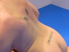 Testes gyönyörű hölgy, Szépség, Tekintélyes didik, Angol, Cicák párbaja, Leszbikus