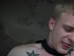 Amaterji, Analno, Črnke, Temnopolti, Gej, Tetovaže