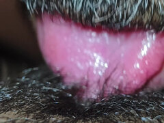 아마추어, 커플, 머리카락이 많은, 인도인, 보지