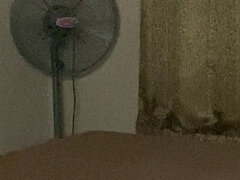 Asiatisk, Stor kuk, Grupp, Massage