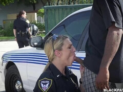 Gros cul, Grosse bite, Gros seins, Sucer une bite, En levrette, Mère que j'aimerais baiser, De plein air, Police