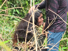 Boquete, Casal, Feito em casa, Indianoa, Ao ar livre cartaz de rua outdoor