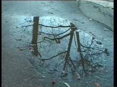 Анальный секс, Блондинки, Минет, Сборник, Семяизвержение, Милф, Натуральные сиськи, Наездница